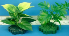 Jungle Plant (Style #1)